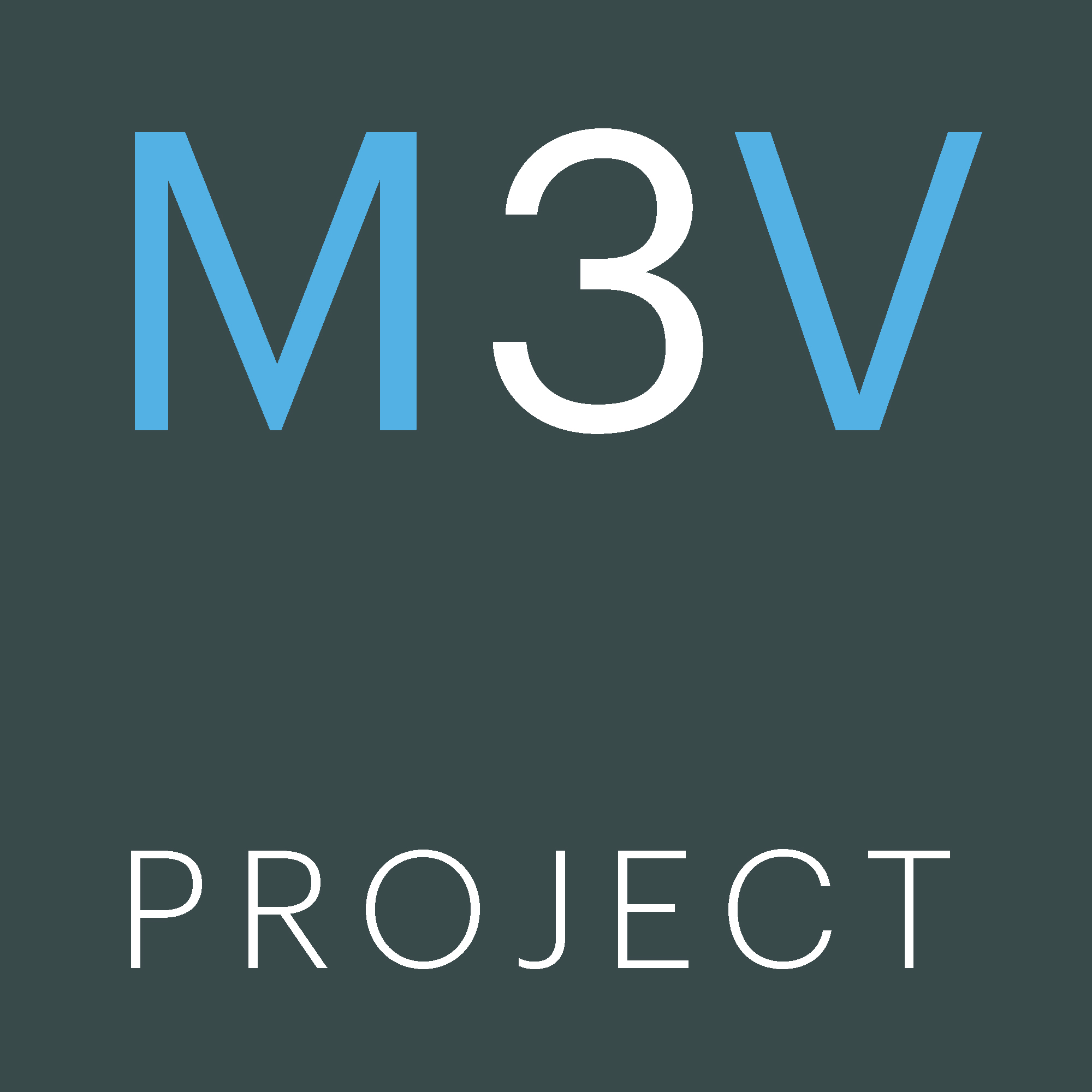 M3V PROJECT